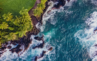 Aerial view of rocky coast with palms and blue ocean with waves, Maui island, Hawaii