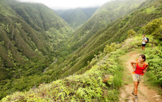 People looking at a Hawaiian forest landscape in the mountains on a trail in Maui