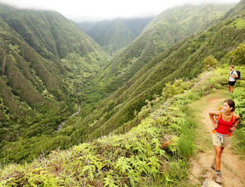 Should You Have Your Own Bike For Hawaii Tours?