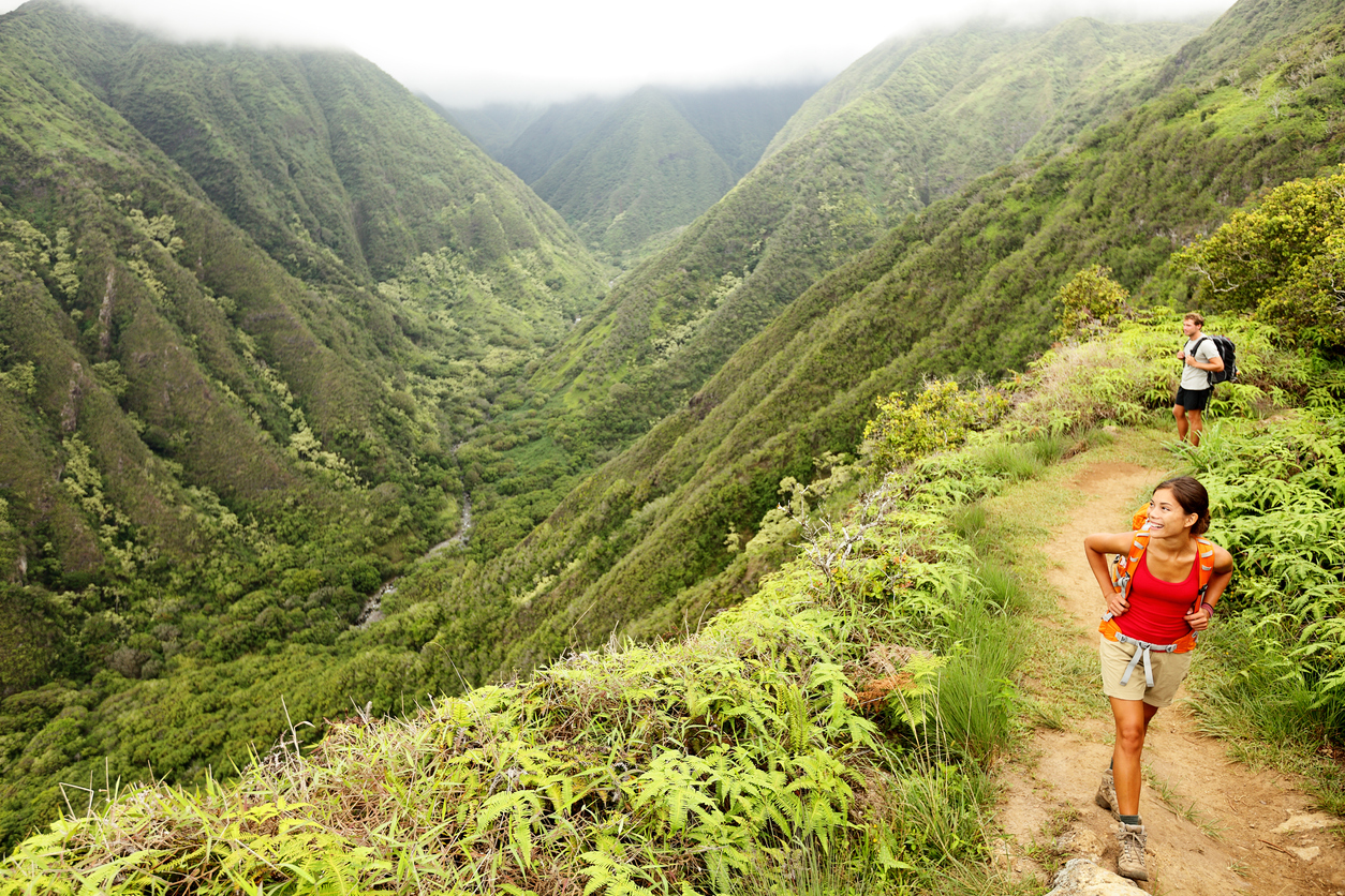 People looking at a Hawaiian forest landscape in the mountains on a trail in Maui