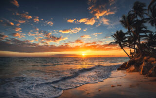 Sunrise on a Hawaiian island. Palm trees on sandy beach.