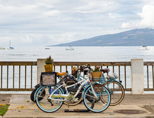 What is the Best Way to Get Around in Maui?