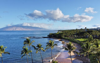 Maui Beach