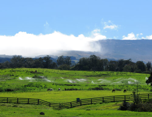 Historic Stops Along Your Maui Bike Tour