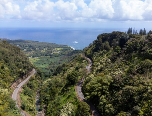 Beginner’s Guide to Maui Bike Tours: What You Need to Know