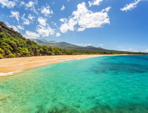Maui Bike Tour and Beach Day: How to Make the Most of Both