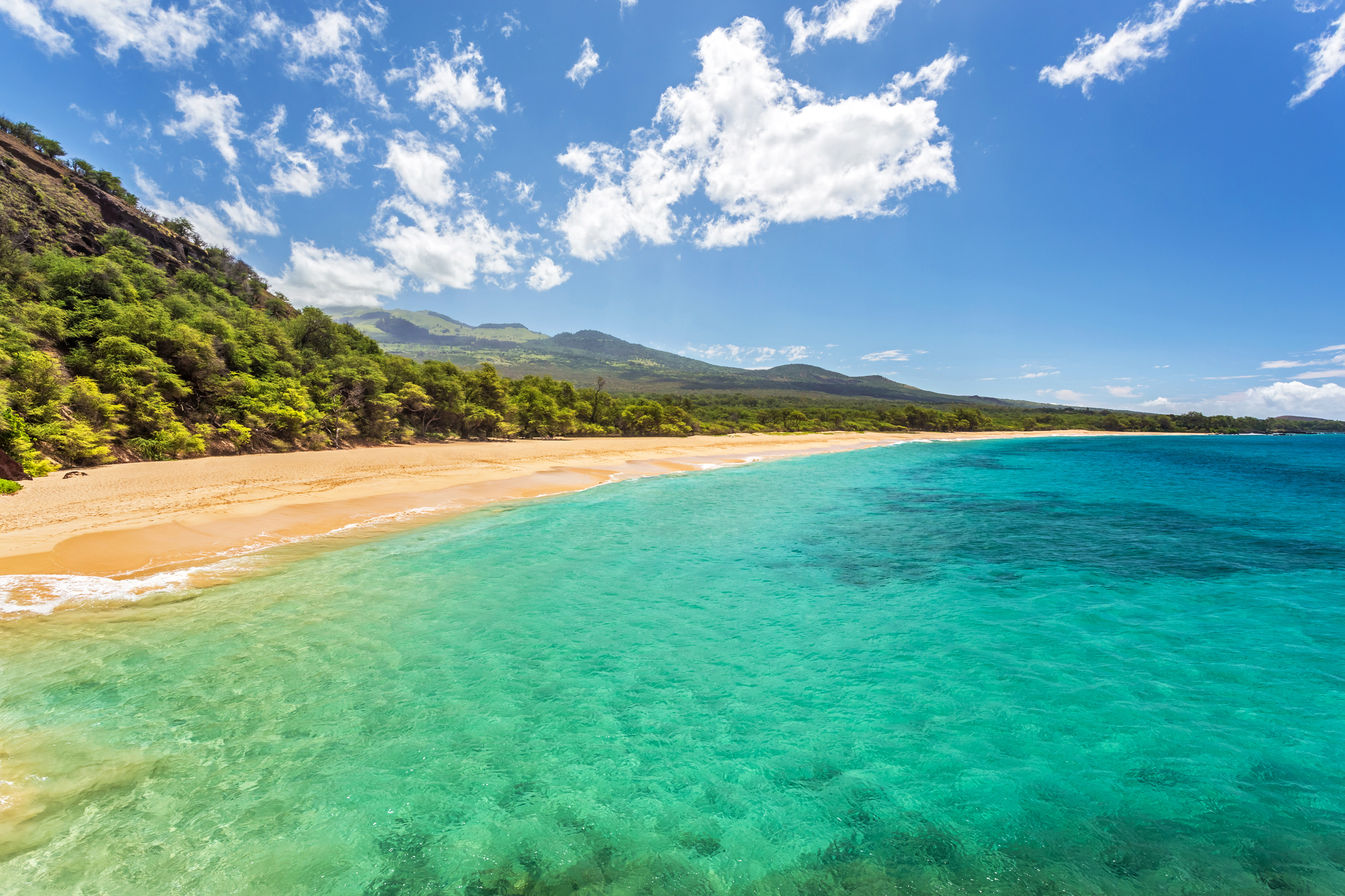 view of the beach and turquoise sea on the tropical hawaiian island of Maui