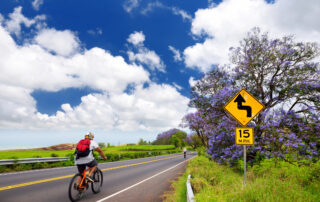 Maui bike tour next to beautiful purple jacaranda trees flowering along the roads of Maui island, Hawaii, USA