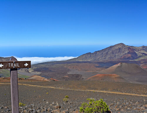 Maui Biking vs. Hiking: What’s the best way to see Maui