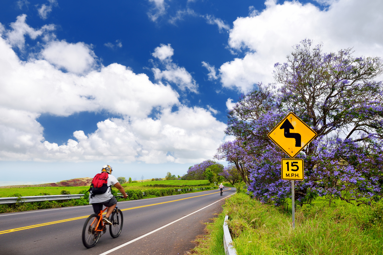Cyclist on a road with a curve sign and blooming trees under a blue sky with clouds.