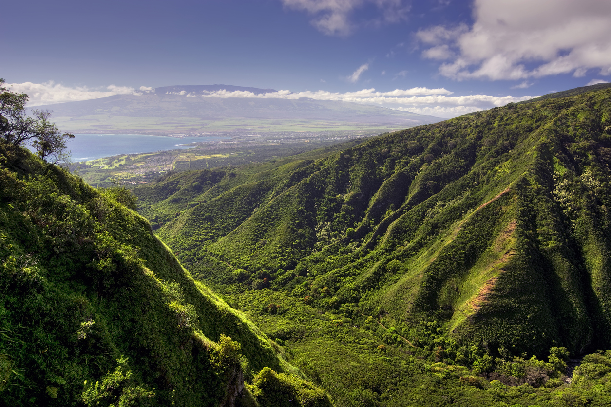Lush green mountains with a coastline and blue sky in the background.