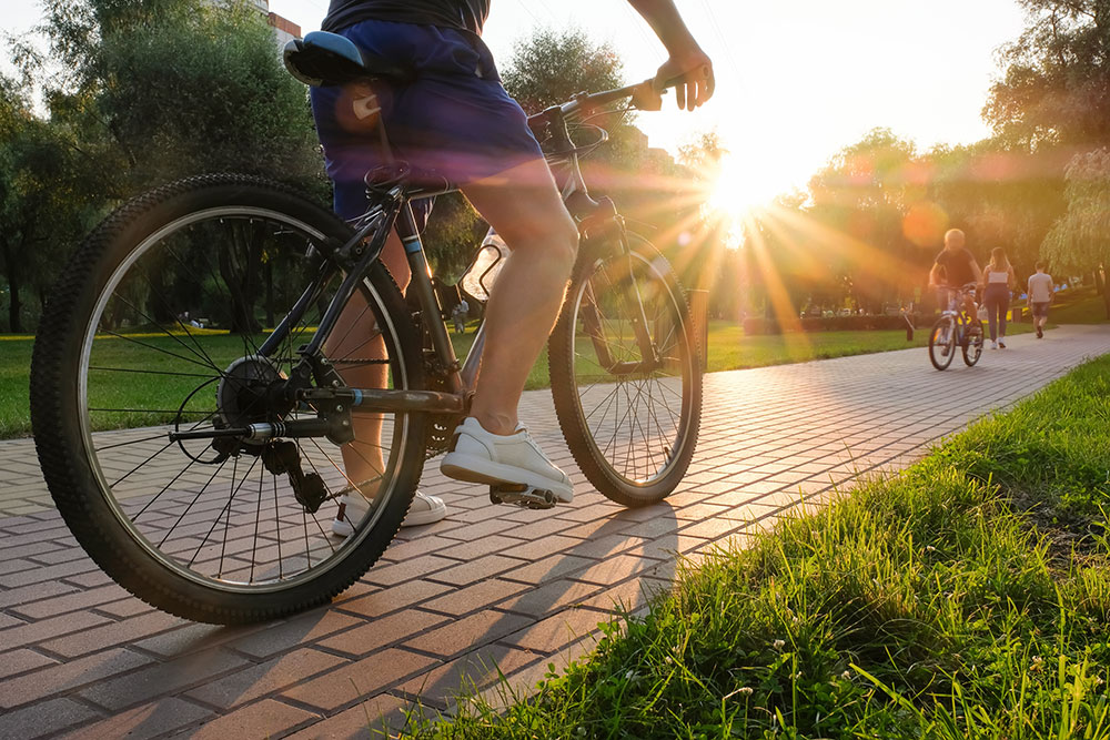 Cyclist on brick path with others in park at sunset.