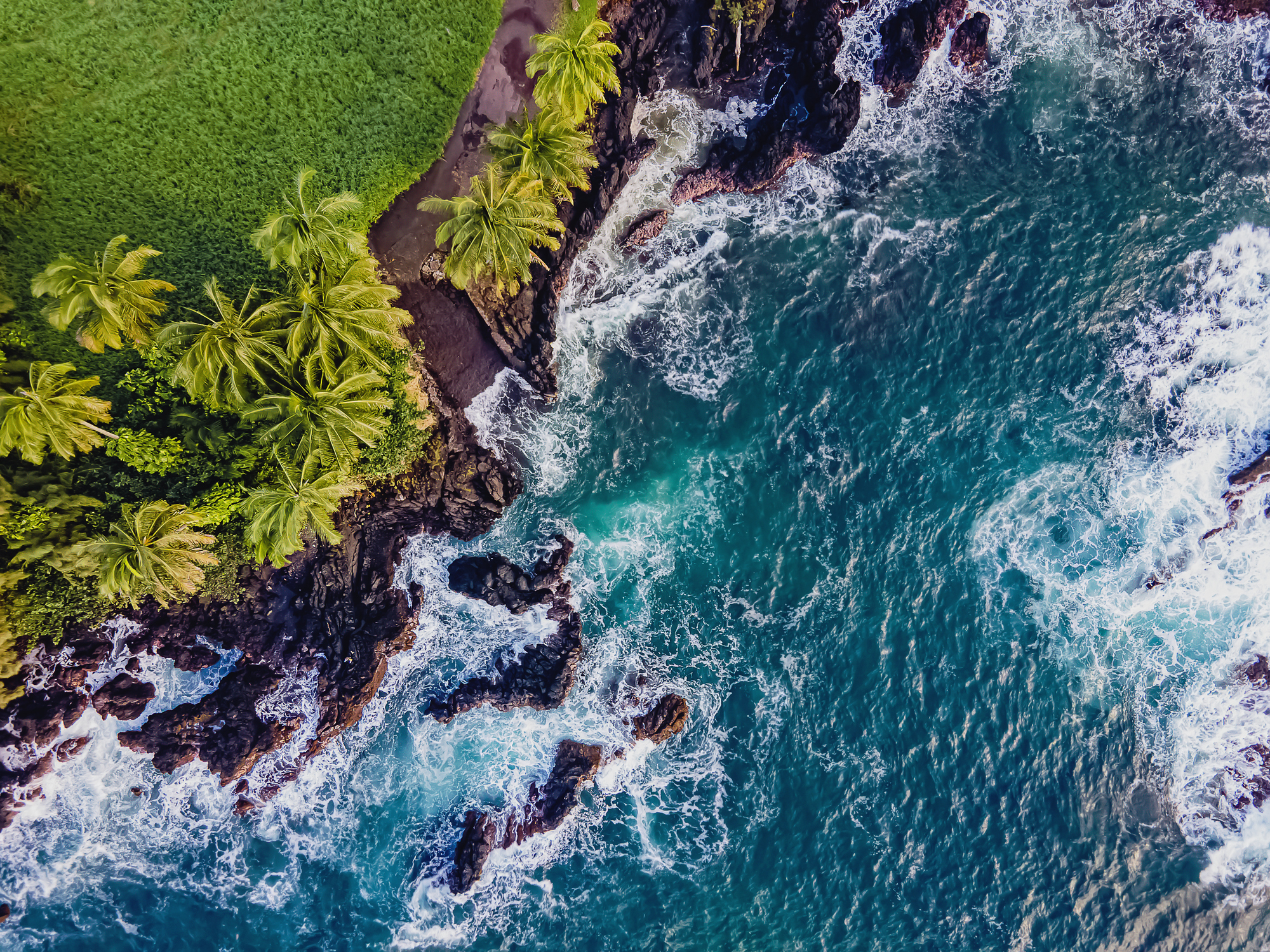 Aerial view of rocky coastline with palm trees and turquoise waves crashing.