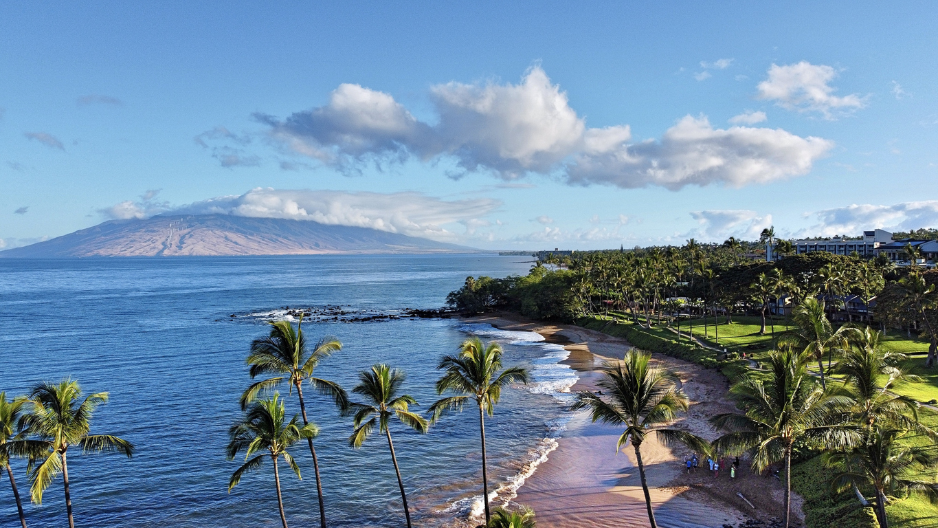 Tropical beach with palm trees, clear ocean, and a distant mountain under a blue sky with clouds.
