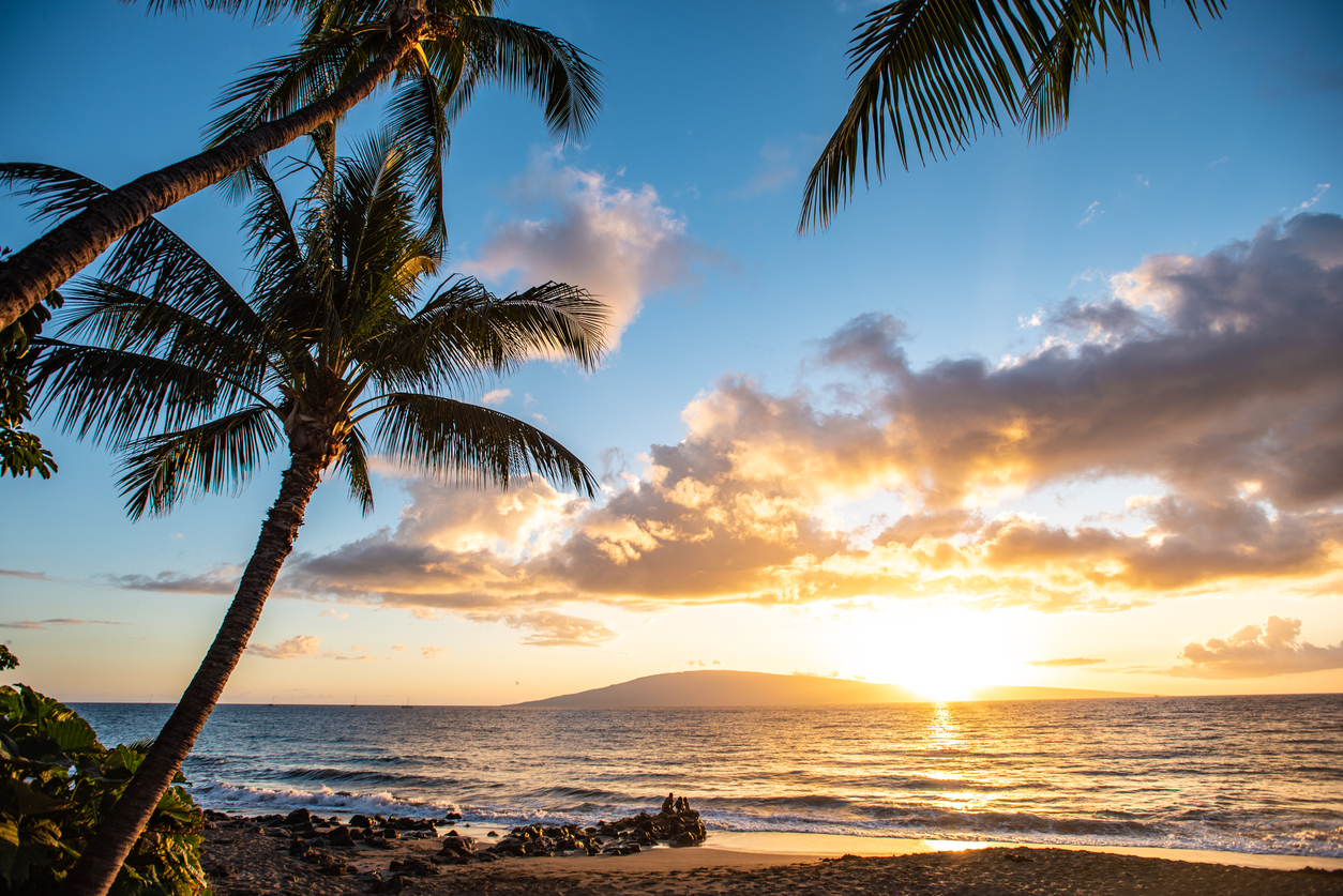 Palm trees on a beach with a sunset over the ocean horizon.